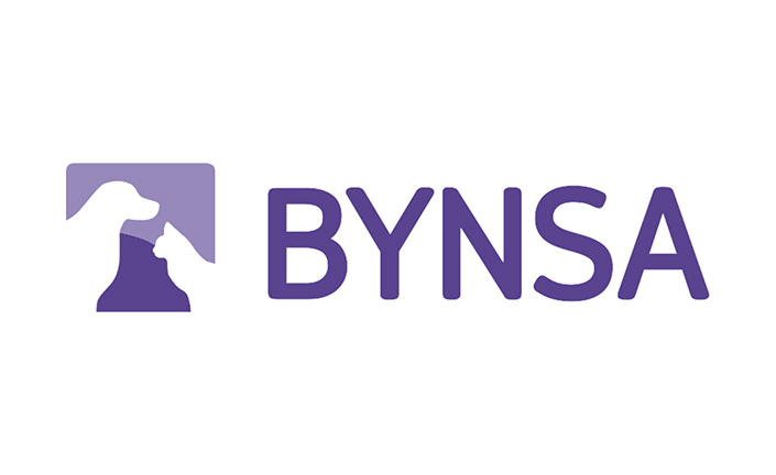 Bynsa
